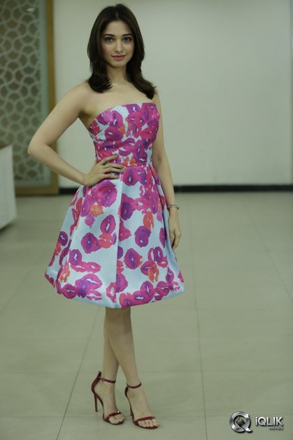 Tamannaah-Interview-About-Okkadochadu